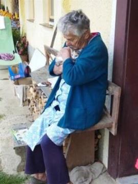 Pomladne novice Društva za zaščito živali Pomurja 1